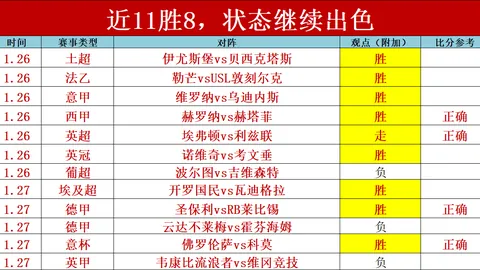 “早田希娜：日本乒坛之光，携手强手共攀高峰追梦”